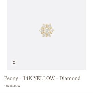 14k Y Genuine Dia Threadless Jewelry End from Tether